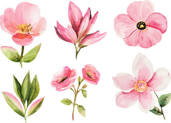 set of pink flowers