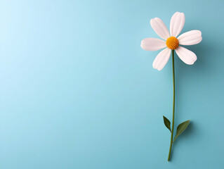 Fototapeta premium White Flower on Blue Background Illustration