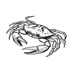 Crab Vector Style Clip Art Design
