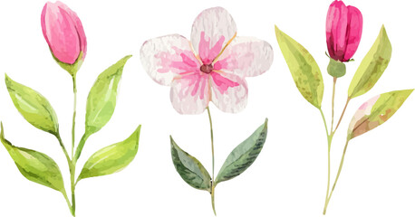 bouquet of pink flowers