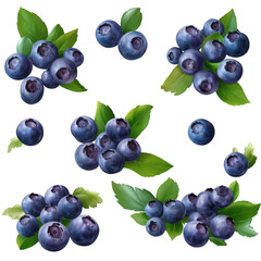 fresh blueberries and leaves isolated on white transparent background