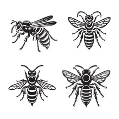 Intricately Detailed Silhouettes of the Striking Yellow Jacket Insect Elegantly Isolated on a Crisp White Background in Monochrome Art Style
