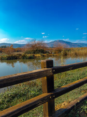 Stone footpath and wooden fence leading a long The Great