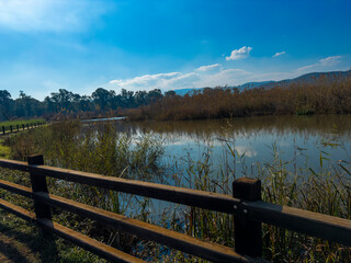 Stone footpath and wooden fence leading a long The Great