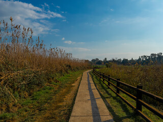 Stone footpath and wooden fence leading a long The Great