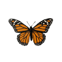 Fototapeta premium Monarch Butterfly: A monarch butterfly, known for its vibrant orange and black wings, spreads itself gracefully, captivating the viewer with its elegance and vibrant pattern.