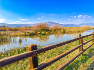 Stone footpath and wooden fence leading a long The Great