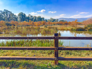 Stone footpath and wooden fence leading a long The Great