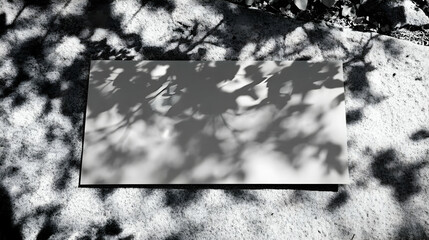 Shadow Play Mockup Illustration