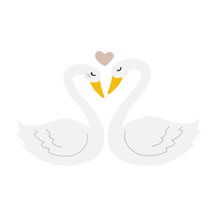Couple of swans in love illustration