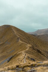 Scenic Mountain Trail with Hikers