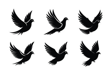 nicobar pigeon silhouette vector illustration