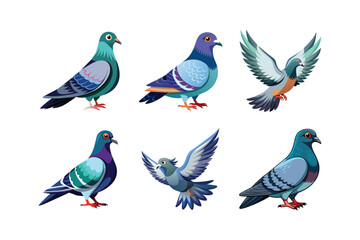 nicobar pigeon vector art illustration