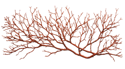 Detailed close-up view of vibrant red tree branch with fine natural texture showcasing intricate patterns, on white or transparent png