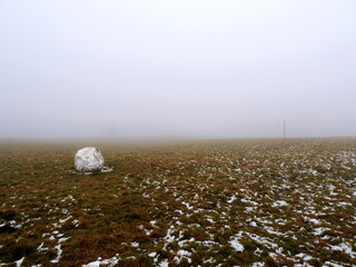 Grassland with snow and snowball in fog. Mystical winter vibe, perfect for seasonal designs and...