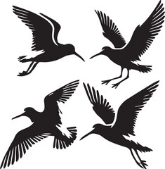 set of sandpiper flying poses،sandpiper silhouette, flying sandpiper poses, black and white sandpiper illustration