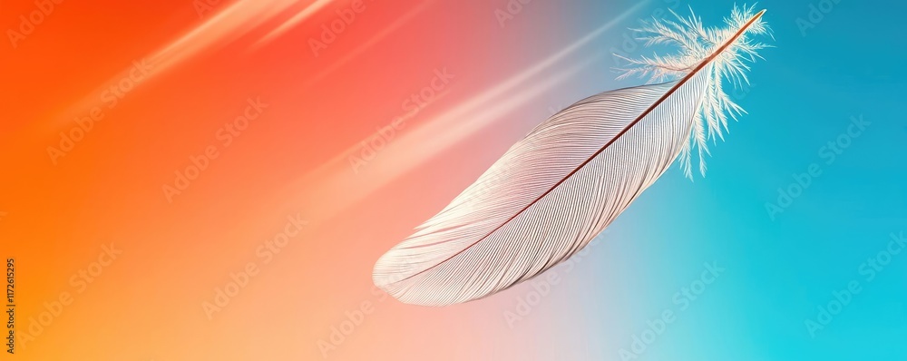 Poster Feather abstract background concept. A soft feather floating gracefully against a colorful gradient background.