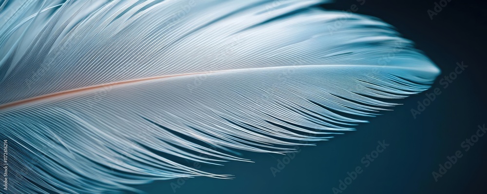 Poster Feather abstract background concept. A close-up of an elegant, soft feather with delicate textures and gentle hues.