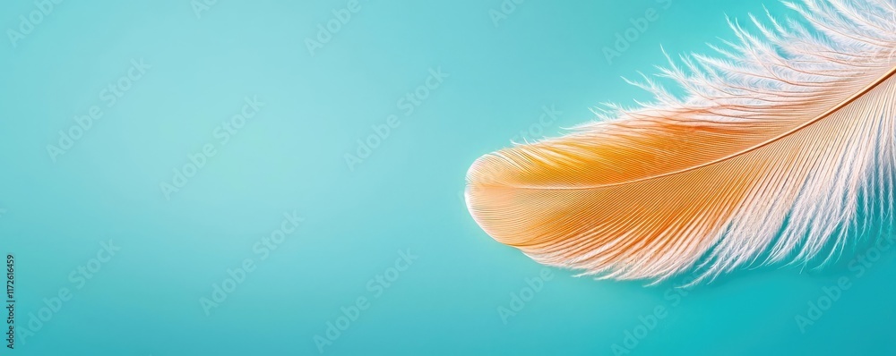 Poster Feather abstract background concept. A close-up of a delicate feather with soft orange hues against a tranquil blue background.