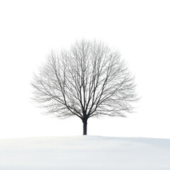 Winter Serenity, a tranquil scene of soft snow covering a seamless white expanse, evoking calm and purity in a minimalist composition