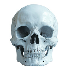 Minimalist Skull Design on White Background, Simple yet Striking Visual, Emphasizing Form and...