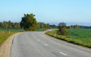 Asphalt road between fields.