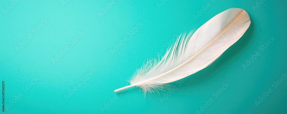Poster feather abstract background concept. a delicate white feather resting on a vibrant turquoise backgro