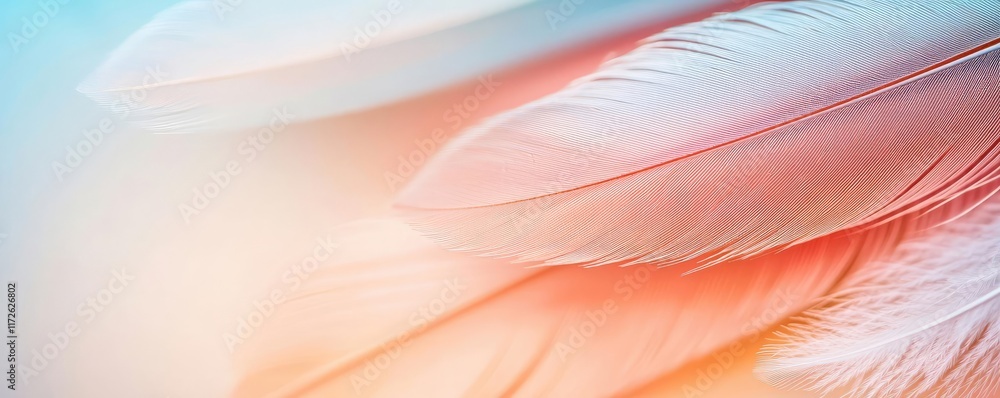 Poster Feather abstract background concept. Close-up of soft, colorful feathers creating a serene and delicate atmosphere.