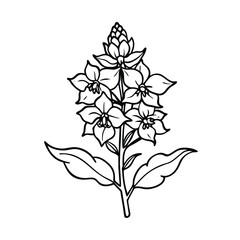 Delphinium flower with stem and leaves line art  vector on  white background.