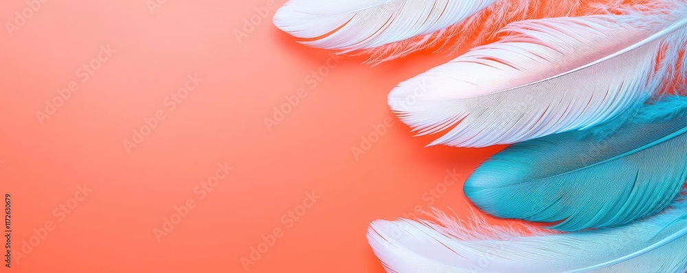 Poster Feather abstract background concept. Colorful feathers create a playful and artistic vibe on a vibrant background.