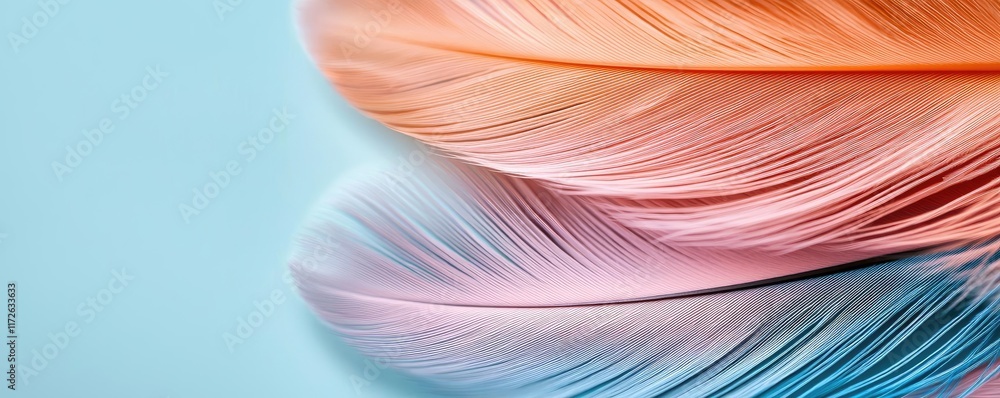 Poster feather abstract background concept. colorful abstract feathers in soft pastel shades on a light bac