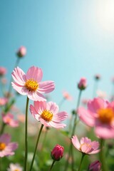 Fototapeta premium Delicate wildflower arrangement against a soft focus sky, blossom, bloom