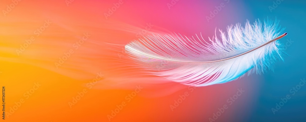 Poster Feather abstract background concept. A soft feather drifting through a vibrant gradient of pink and blue hues.
