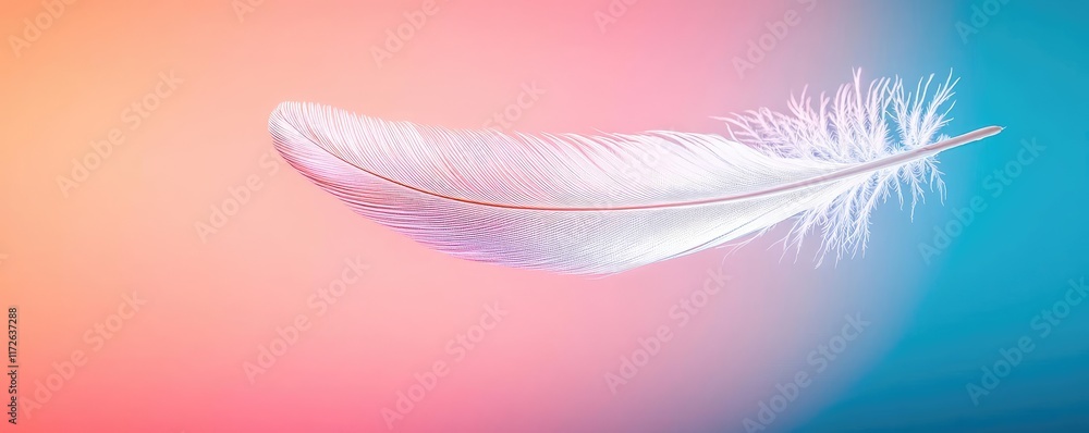 Poster Feather abstract background concept. A delicate white feather floating against a soft gradient background.