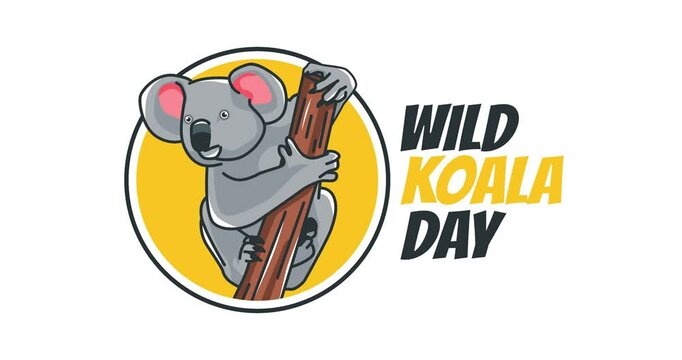 wild koala day motion video, ideal for wild koala day celebration