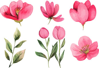 Modern Watercolor Spring Flowers Clipart