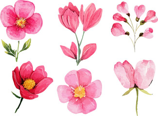 Beautiful Watercolor Spring Flowers Clipart