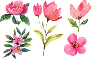 Beautiful Watercolor Spring Flowers Clipart
