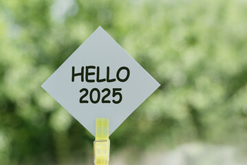 Creative New Year Celebration Concept Featuring Hello 2025 Sign in Natural Environment