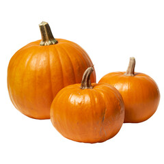 pumpkin ; isolated on a transparent background