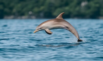 Fototapeta premium Dolphin leaps gracefully, catching a small hoop before diving back into the water, Generative AI 