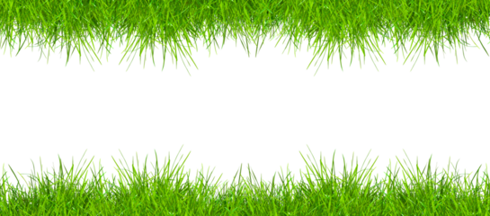 Realistic green grass isolated on white. Fresh green grass isolated over a transparent background. ecology freshness field lawn. mockup template. Natural spring summer decoration design elements, PNG
