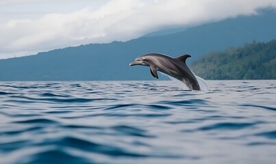 Obraz premium Dolphin leaps gracefully, catching a small hoop before diving back into the water, Generative AI 