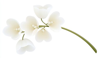 Obraz premium A delicate illustration of white flowers on a green stem.