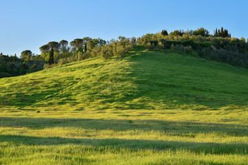 Campagne toscane au lueur du soir à San Miniatio