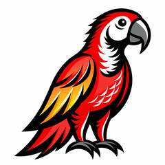 Fototapeta premium red and yellow macaw