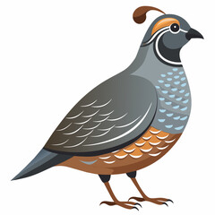 illustration of a bird