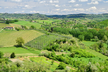 Fototapeta premium Campagne toscane, vue depuis une terrasse de Certaldo Alto