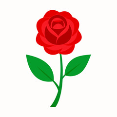 Fototapeta premium red rose