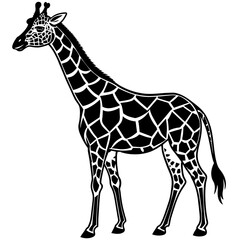 Naklejka premium giraffe vector illustration